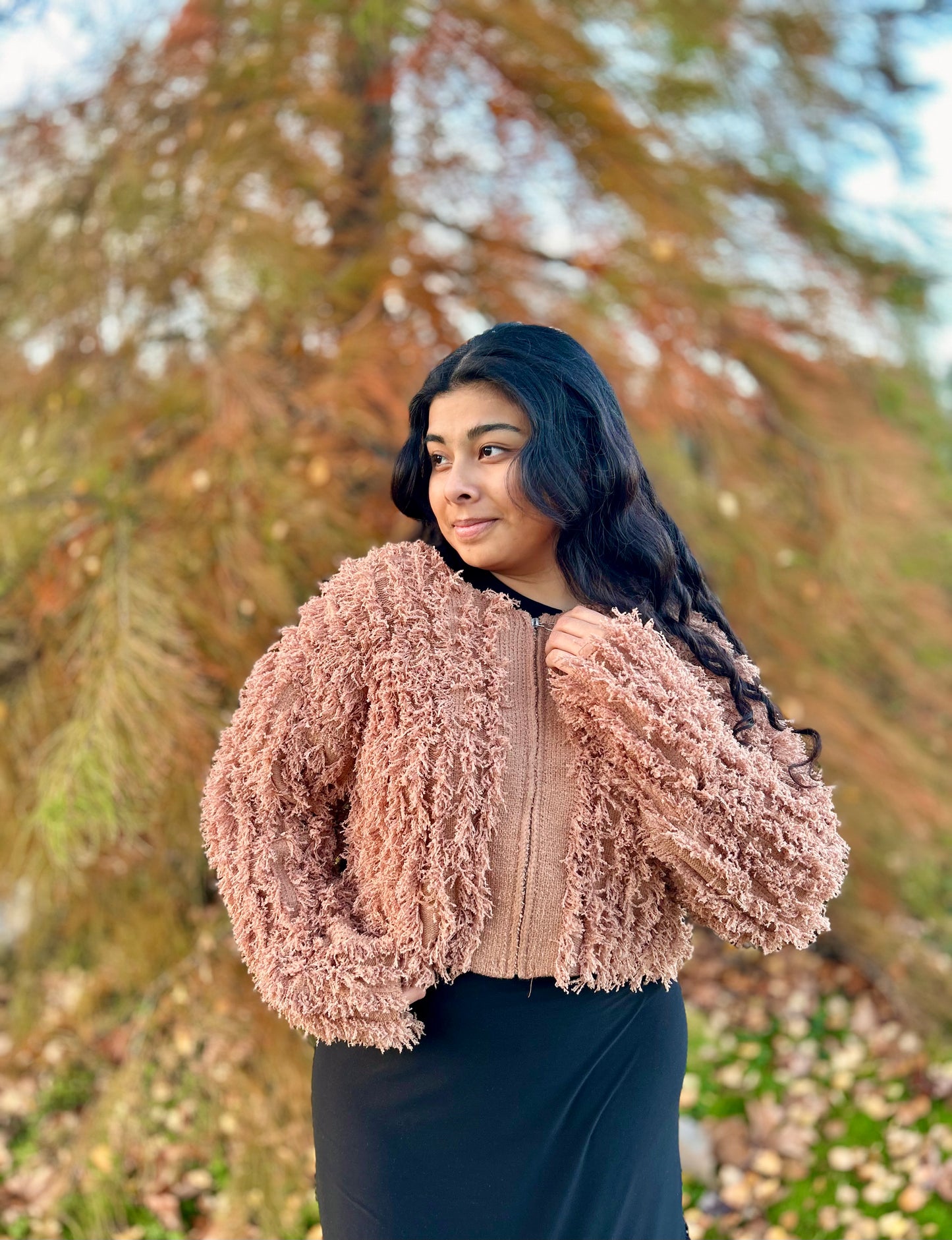 Soft Shaggy Yarn Knit Cropped Sweater