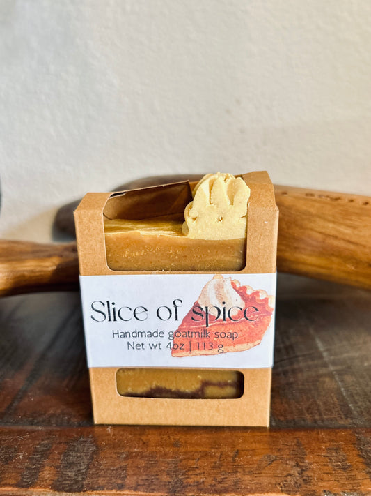 Pumpkin Spice Bar Soap