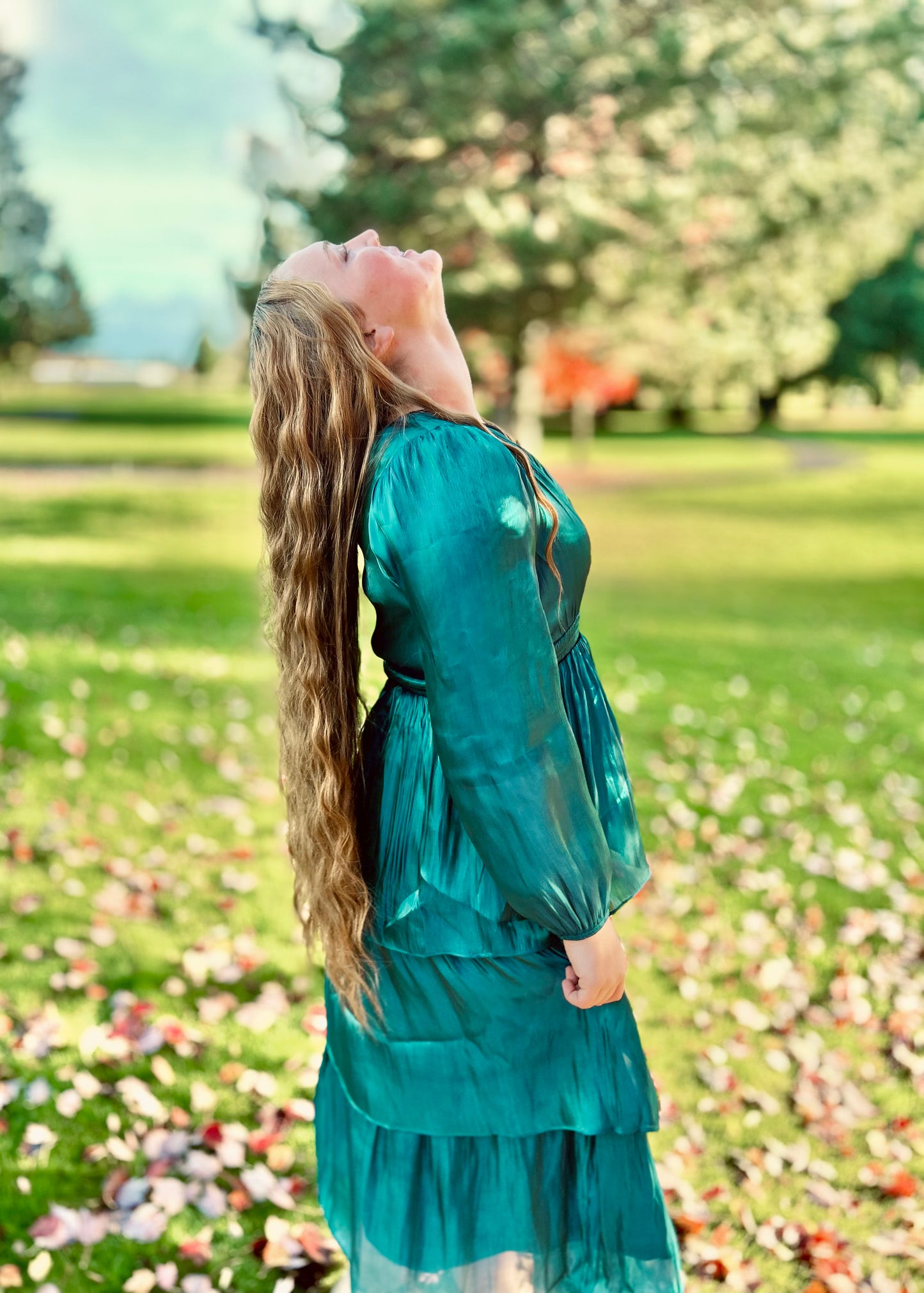 SHEER TIERED MIDI DRESS