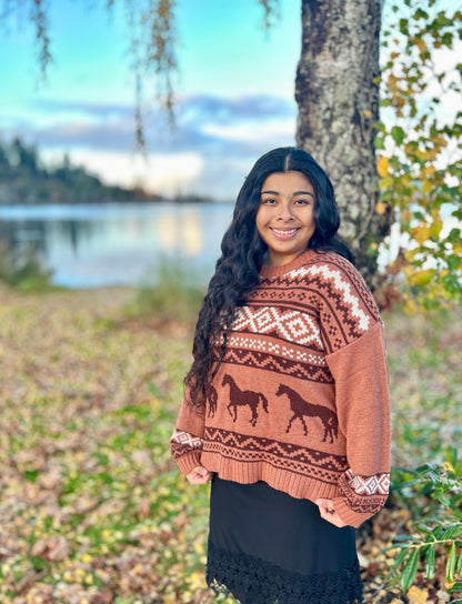 Western Graphic Oversized Knit Sweater Top