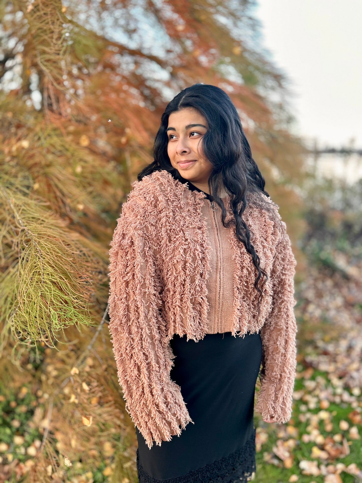 Soft Shaggy Yarn Knit Cropped Sweater